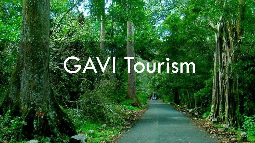 Cassells Jungle Resorts Thekkady Vandiperiyar